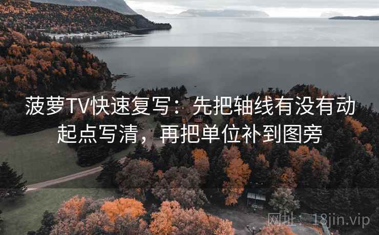 菠萝TV快速复写：先把轴线有没有动起点写清，再把单位补到图旁